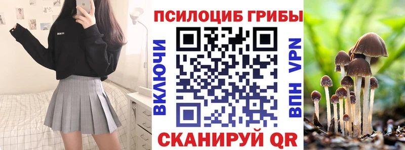 Галлюциногенные грибы Psilocybe  магазин  наркотиков  darknet состав  Кочубеевское 